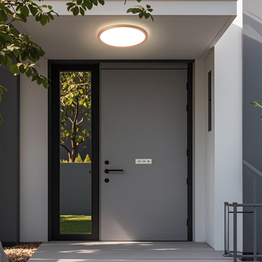 Brilagi - LED kúpeľňové stropné svietidlo ULTRA SLIM LED/24W/230V pr. 42 cm ružovo-zlatá IP54