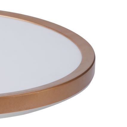 Brilagi - LED kúpeľňové stropné svietidlo ULTRA SLIM LED/24W/230V pr. 42 cm ružovo-zlatá IP54