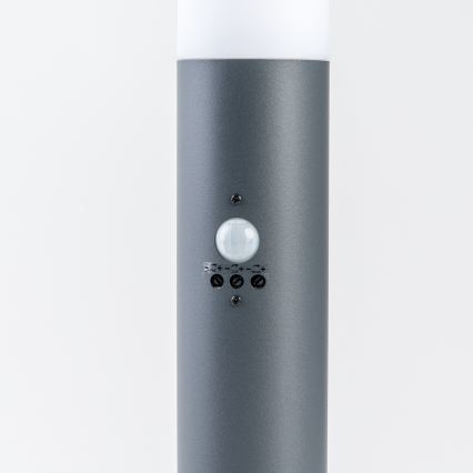 BRILAGI - Vonkajšie svietidlo so senzorom ELIA 1xE27/20W/230V IP44 50 cm antracit