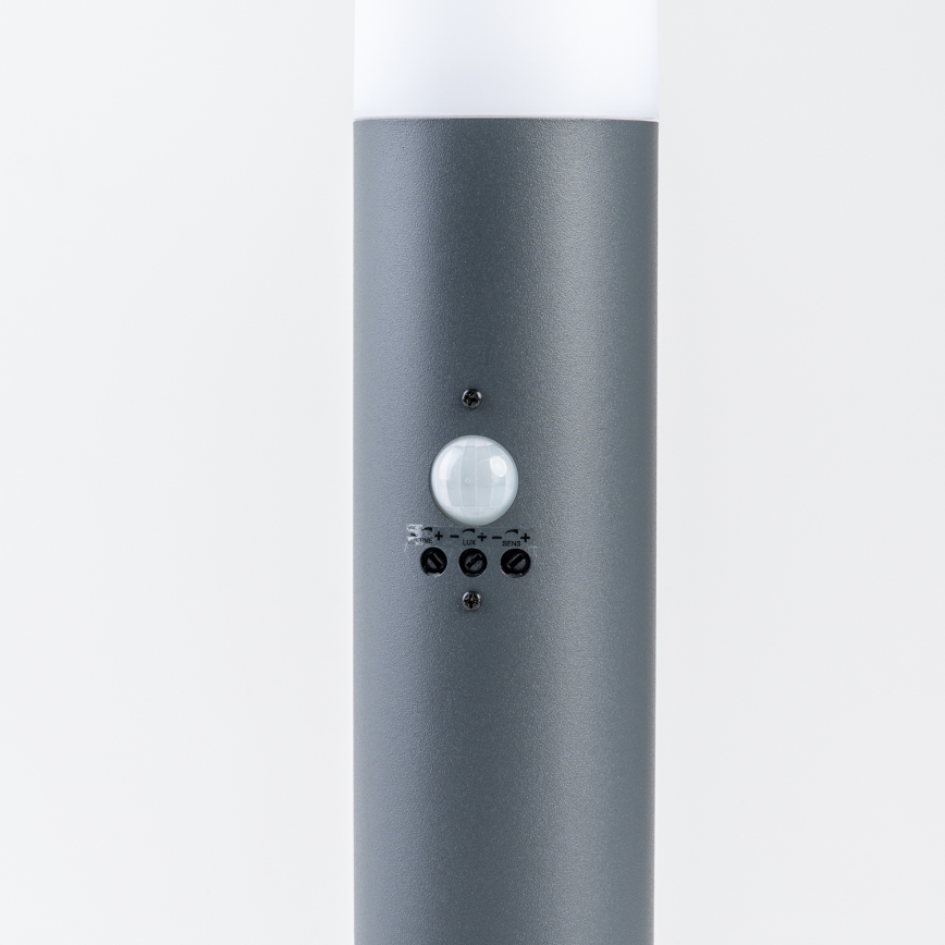 BRILAGI - Vonkajšie svietidlo so senzorom ELIA 1xE27/20W/230V IP44 50 cm antracit
