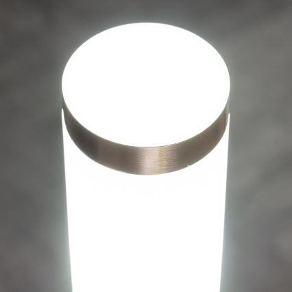 BRILAGI - Vonkajšie svietidlo so snímačom pohybu ELIA 1xE27/20W/230V IP44 50 cm matný chróm