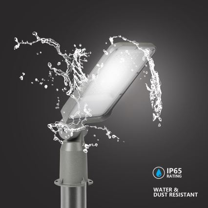 Brilagi - LED vonkajšie pouličné svietidlo so stĺpom a kĺbom 3 m URBANLIGHT LED/50W/230V sivá IP65