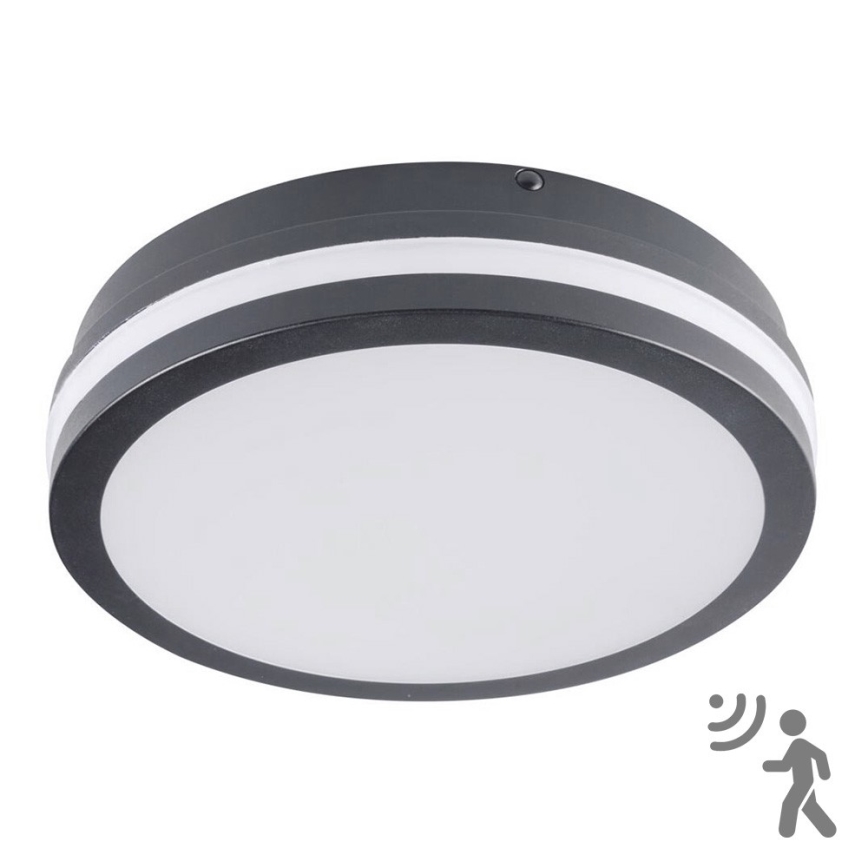 Brilagi - LED vonkajšie svietidlo so senzorom BENE LED/18W/230V priemer 22 cm antracit IP54