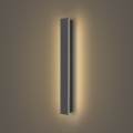 Brilagi - Vonkajšie nástenné LED svietidlo LINEAR, 12 W, 230 V, 3000 K, IP65, 50 cm, antracit