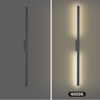 Brilagi - LED vonkajšie nástenné svietidlo LUNA LED/30W/230V 4000K IP65 150 cm antracit CRI 90