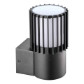 BRILAGI - Vonkajšie nástenné svietidlo ARMOR 1xGU10/35W/230V IP44 antracit