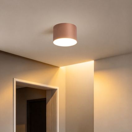 BRILAGI - Vonkajšie stropné svietidlo FORIS LED/9W/230V pr. 9 cm bronzové IP44