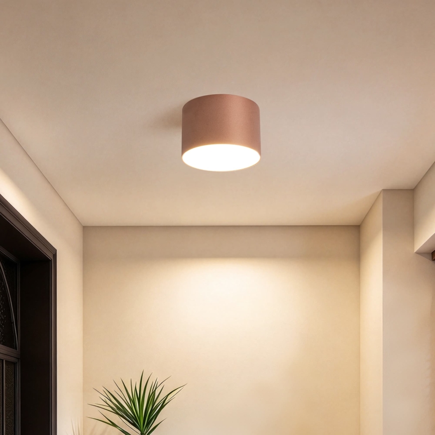 BRILAGI - Vonkajšie stropné svietidlo FORIS LED/9W/230V pr. 9 cm bronzové IP44