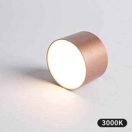 BRILAGI - Vonkajšie stropné svietidlo FORIS LED/9W/230V pr. 9 cm bronzové IP44