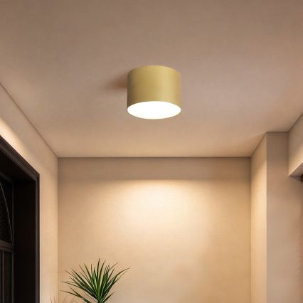 BRILAGI - Vonkajšie stropné svietidlo FORIS LED/9W/230V priemer 9 cm zlaté IP44