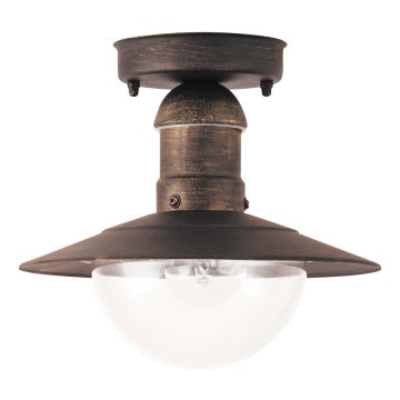 Brilagi - Vonkajšie stropné svietidlo MOLDE 1xE27/60W IP44 bronzová/patina