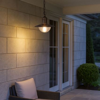 Brilagi - Vonkajšie závesné svietidlo MOLDE 1xE27/60W IP44 bronzová/patina