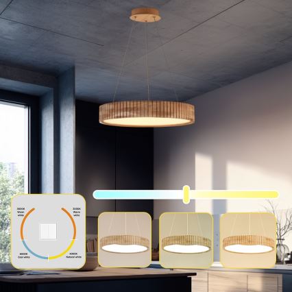 Brilagi - LED závesný luster na lanku FALCON WOOD MODERN LED/30W/230V 3000/4000/6000K priemer 45 cm drevo