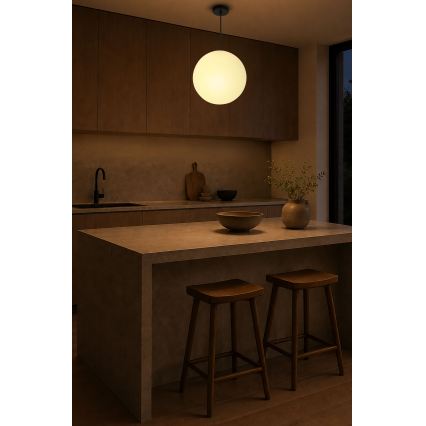 BRILAGI - Závesné svietidlo na lanku POLOS 1xE27/40W/230V pr. 30 cm čierna