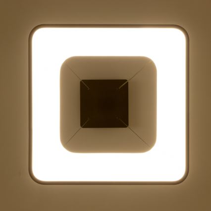 Brilagi - LED stmievateľný luster na lanku FALCON II LED/80W/230V 3000-6500K 40x40 cm čierna + diaľkové ovládanie