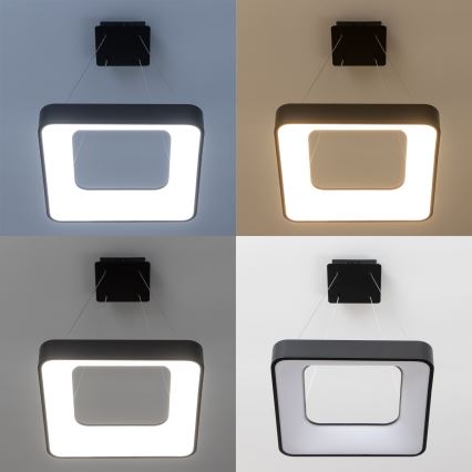 Brilagi - LED stmievateľný luster na lanku FALCON II LED/80W/230V 3000-6500K 40x40 cm čierna + diaľkové ovládanie