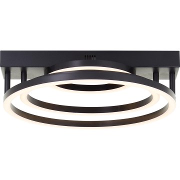 Brilliant - LED dimovateľné stropné svietidlo PEDLEY LED/36W/230V čierna