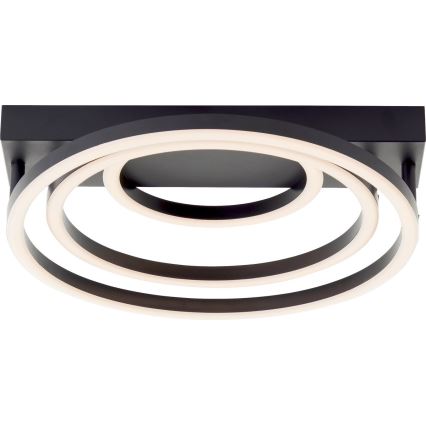 Brilliant - LED dimovateľné stropné svietidlo PEDLEY LED/36W/230V čierna