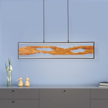 Brilliant - LED Luster na lanku CHAUMONT LED/20W/230V borovica