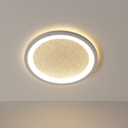 Brilliant - LED RGBW Stmievateľné stropné svietidlo TANIDA LED/22W/230V 3000-6500K+ diaľkové ovládanie