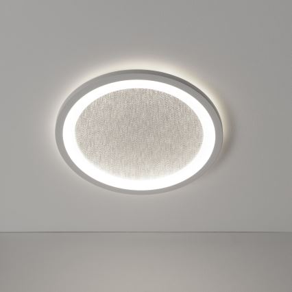 Brilliant - LED RGBW Stmievateľné stropné svietidlo TANIDA LED/22W/230V 3000-6500K+ diaľkové ovládanie