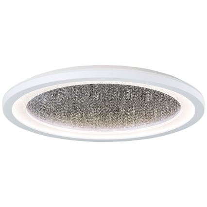 Brilliant - LED RGBW Stmievateľné stropné svietidlo TANIDA LED/22W/230V 3000-6500K+ diaľkové ovládanie