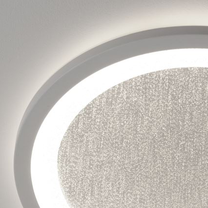 Brilliant - LED RGBW Stmievateľné stropné svietidlo TANIDA LED/22W/230V 3000-6500K+ diaľkové ovládanie
