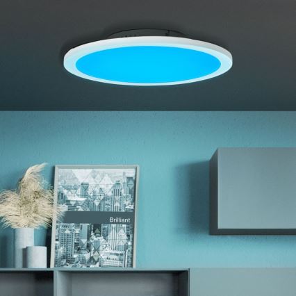 Brilliant - LED RGBW Stmievateľné stropné svietidlo ABIE LED/24W/230V 2700-6500K + diaľkové ovládanie