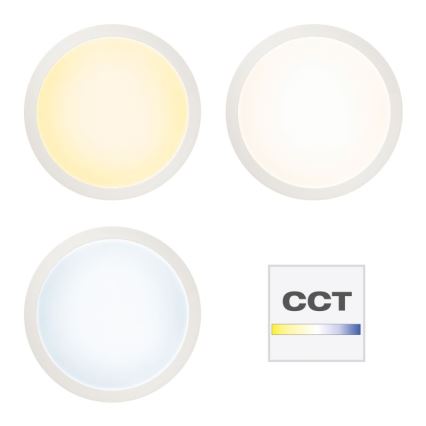 Brilliant - LED RGBW Stmievateľné stropné svietidlo ABIE LED/24W/230V 2700-6500K + diaľkové ovládanie