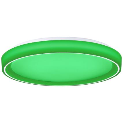Brilliant - LED RGBW Stmievateľné stropné svietidlo FLOCO LED/34W/230V 3000-6500K pr. 49,5 cm biela + diaľkové ovládanie