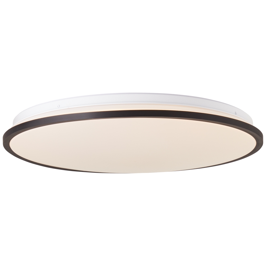 Brilliant - LED RGBW Stmievateľné stropné svietidlo HEIDA LED/30W/230V 3000-6500K + diaľkové ovládanie