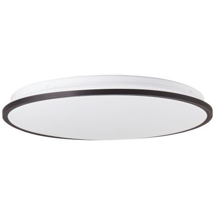 Brilliant - LED RGBW Stmievateľné stropné svietidlo HEIDA LED/30W/230V 3000-6500K + diaľkové ovládanie