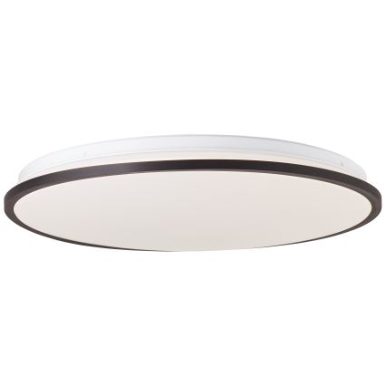 Brilliant - LED RGBW Stmievateľné stropné svietidlo HEIDA LED/30W/230V 3000-6500K + diaľkové ovládanie
