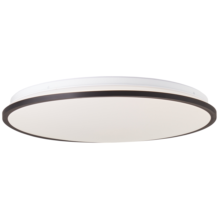 Brilliant - LED RGBW Stmievateľné stropné svietidlo HEIDA LED/30W/230V 3000-6500K + diaľkové ovládanie