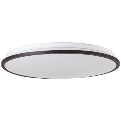 Brilliant - LED RGBW Stmievateľné stropné svietidlo HEIDA LED/30W/230V 3000-6500K + diaľkové ovládanie