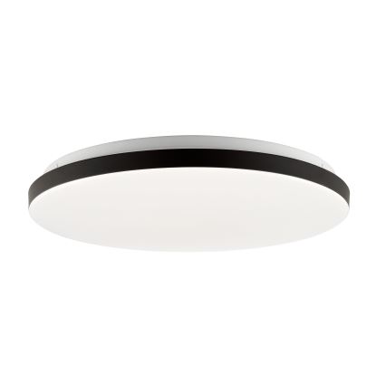 Brilliant - LED RGBW Stmievateľné stropné svietidlo LIVIO LED/20W/230V 3000-6500K pr. 49 cm čierna + diaľkové ovládanie