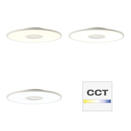 Brilliant - LED RGBW Stmievateľné stropné svietidlo ODELLA LED/24W/230V 2700-6500K + diaľkové ovládanie