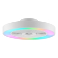 Brilliant - LED RGBW stmievateľné stropné svietidlo s ventilátorom CATANIA LED/37W/230V 2700-6500K priemer 48,6 cm biela + diaľkové ovládanie