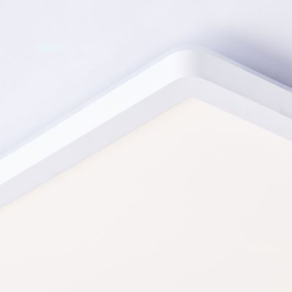 Brilliant - LED RGBW Stmievateľné stropné svietidlo SALTERY LED/20W/230V 3000-6500K + diaľkové ovládanie