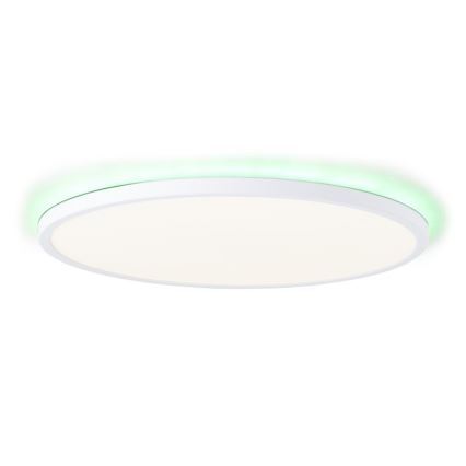 Brilliant - LED RGBW Stmievateľné stropné svietidlo SALTERY LED/22W/230V 3000-6500K + diaľkové ovládanie