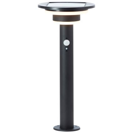 Brilliant - LED Solárna lampa so senzorom GARVINA LED/3W/3,7V 45 cm IP44 čierna