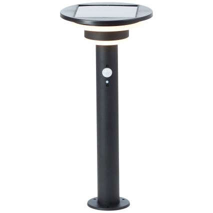 Brilliant - LED Solárna lampa so senzorom GARVINA LED/3W/3,7V 45 cm IP44 čierna