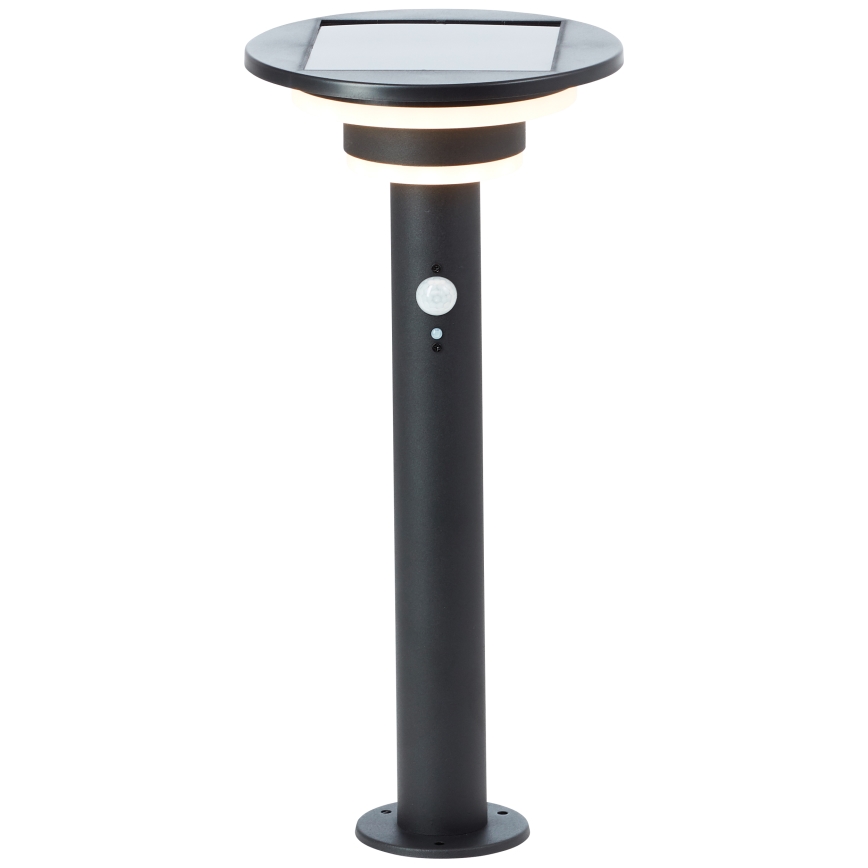 Brilliant - LED Solárna lampa so senzorom GARVINA LED/3W/3,7V 45 cm IP44 čierna