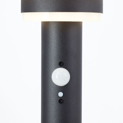 Brilliant - LED Solárna lampa so senzorom GARVINA LED/3W/3,7V 45 cm IP44 čierna