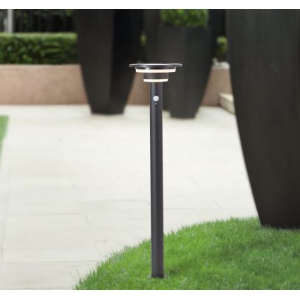 Brilliant - LED Solárna lampa so senzorom GARVINA LED/3W/3,7V 85 cm IP44 čierna