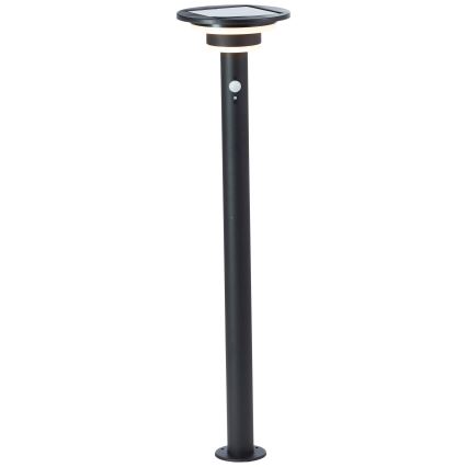 Brilliant - LED Solárna lampa so senzorom GARVINA LED/3W/3,7V 85 cm IP44 čierna