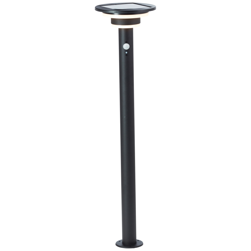 Brilliant - LED Solárna lampa so senzorom GARVINA LED/3W/3,7V 85 cm IP44 čierna