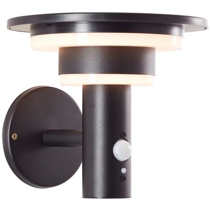 Brilliant - LED Solárne nástenné svietidlo so senzorom GARVINA LED/3W/3,7V IP44 čierna