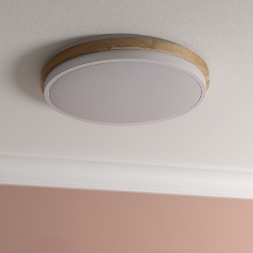 Brilliant - LED Stmievateľné stropné svietidlo BAARLO LED/24W/230V pr. 35 cm biela/gumovník - FSC certifikované