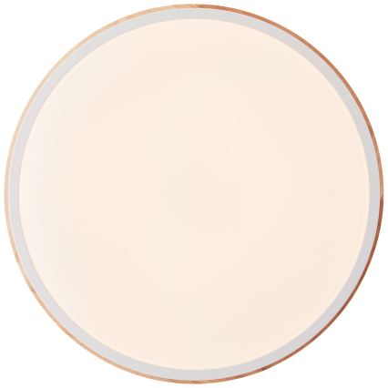 Brilliant - LED Stmievateľné stropné svietidlo BAARLO LED/24W/230V pr. 35 cm biela/gumovník - FSC certifikované